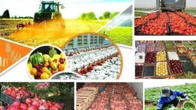 تغییرات مقررات تجاری سال جدید در یک نگاه تغییرات مقررات تجاری سال جدید در یک نگاه