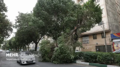 هشدار وزش باد شدید و رگبار در تهران؛ دما کاهش می‌یابد