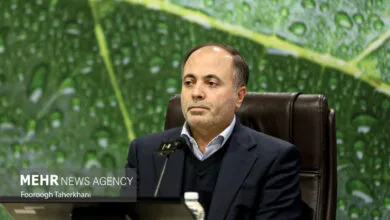 حجم صادرات خشکبار و خاویار  از ایران به برزیل افزایش می‌یابد