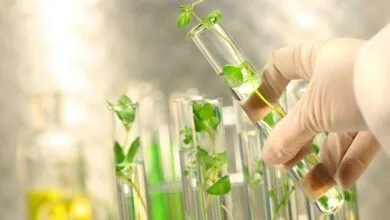 امنیت غذایی پایدار با حفظ تنوع زیستی و منابع ژنتیکی