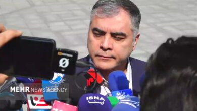 پاک‌نژاد: از نظر فنی، آب و بنزین قابل اختلاط نیستند