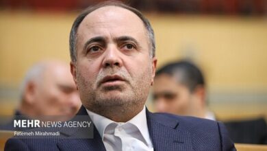 پرداخت ۴۴ درصد مطالبات گندم‌کاران؛ کشت برنج در ۳ استان