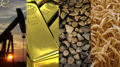 مجوز فعالیت صندوق‌های چندکالایی صادر شد