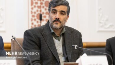 خروج ۱۱۰ هزار اتباع خارجی از مرزهای ایران؛ موج بازگشت زائرین آغاز شد