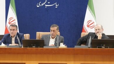 قائم‌پناه: نظام پرداخت مبتنی بر عملکرد علاج کسری بودجه است